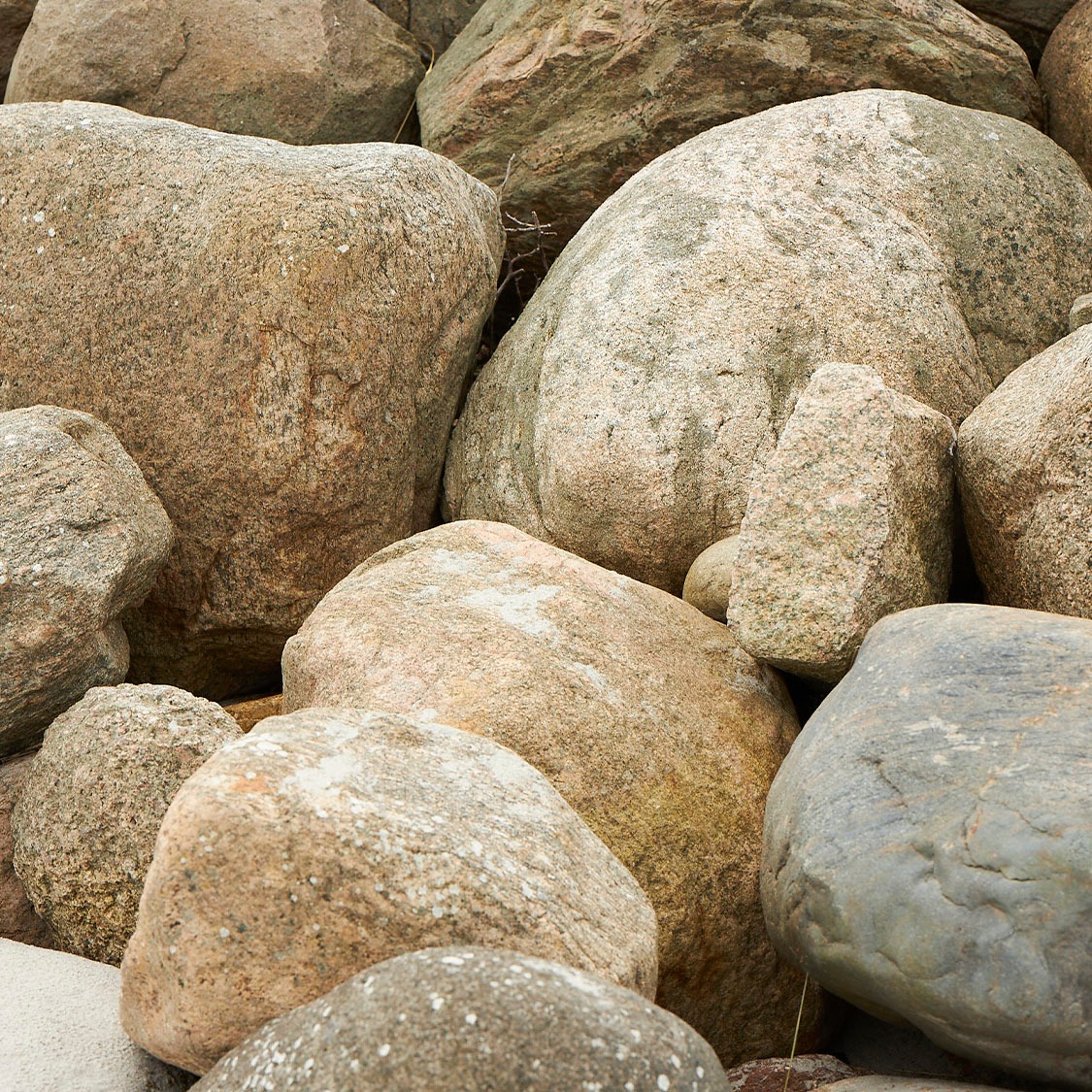 Placeholder immagine 03