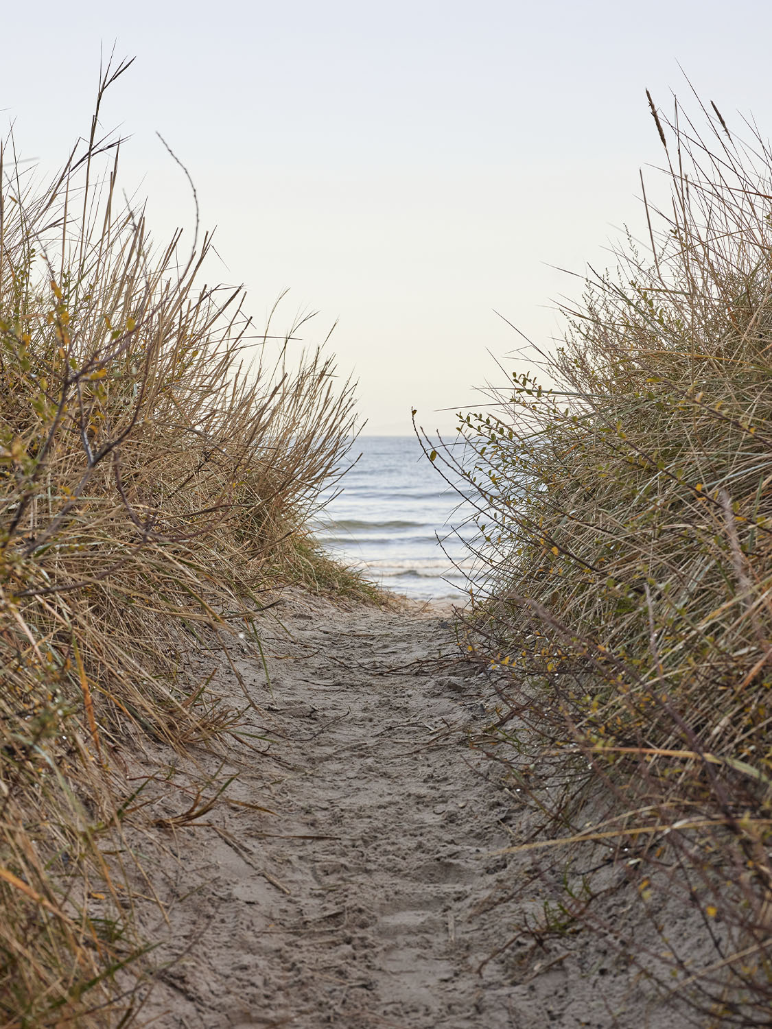 Placeholder immagine 07